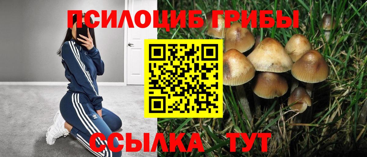 купить закладку  Галлюциногенные грибы мицелий  Вход с VPN  Псилоцибиновые грибы мухоморы  Сертолово 