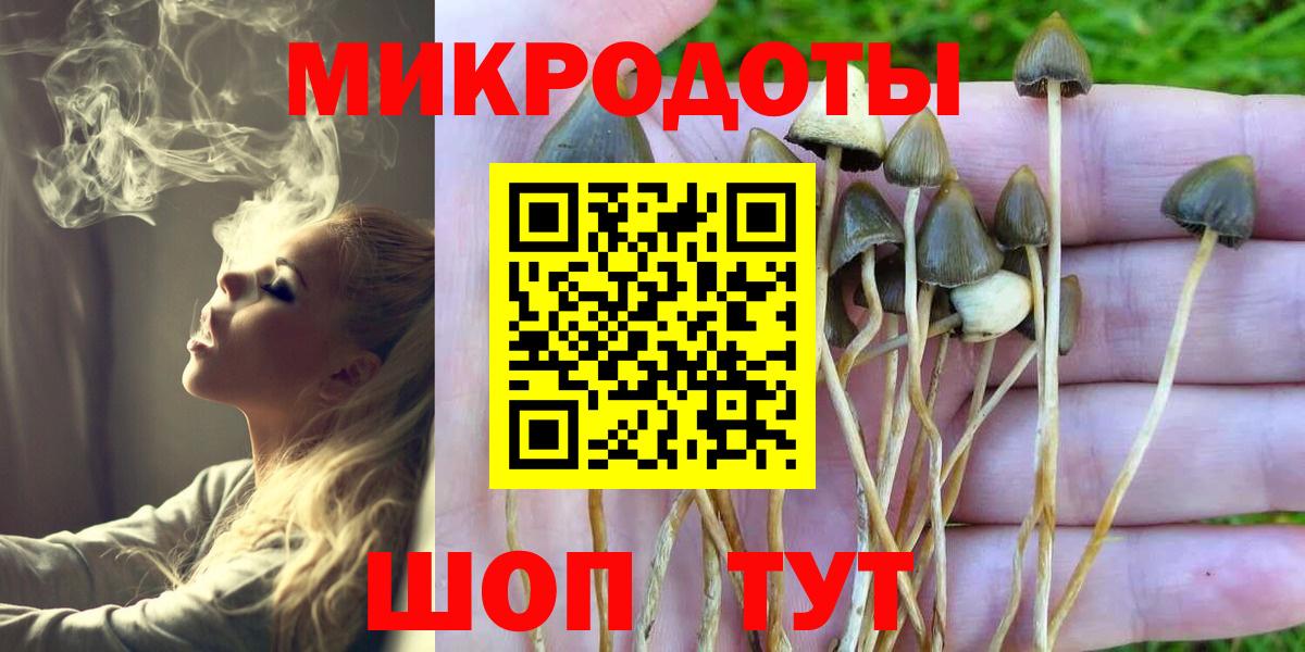 Галлюциногенные грибы GOLDEN TEACHER Сертолово
